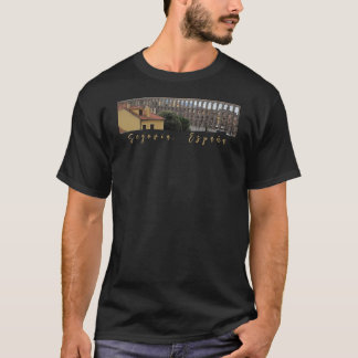 Segovia Aquaduct T Shirt