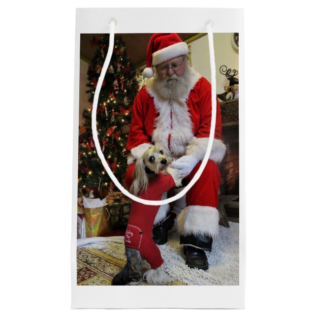 Segt får slutligen möta Santa (Framsidan)