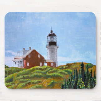 Seguin Island fyr Musmatta