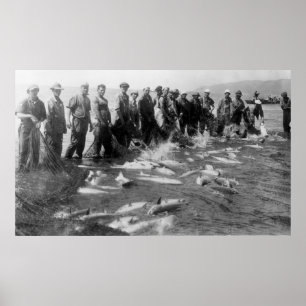 Seining av laxen i Astoria, ELLER fotograferar Poster
