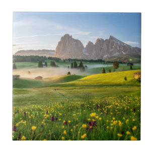 Seiser Alm, Dolomitealperna, italien Kakelplatta