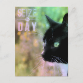 Seize Day Cat Vykort