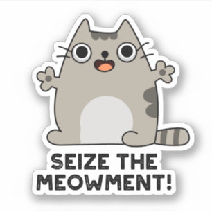 Seize the Meow-Positive Cat Pun Klistermärken
