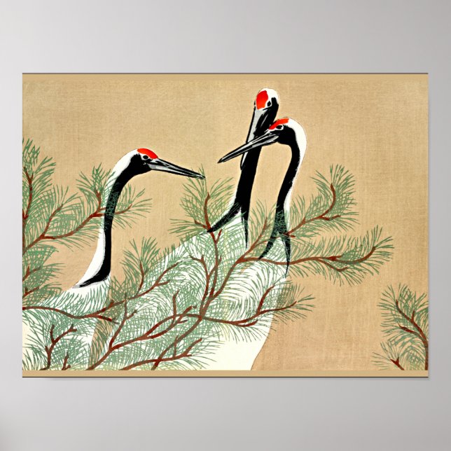 Sekka - Cranes från Momoyogusa Poster (Framsidan)