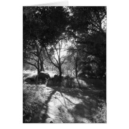 Seklusionskort Hälsningskort