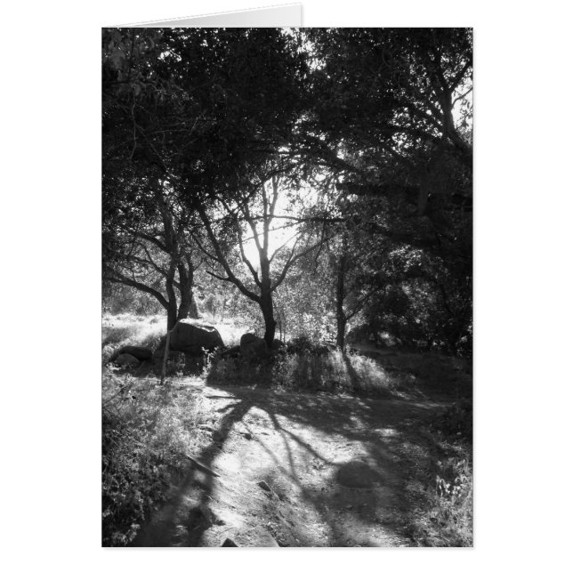 Seklusionskort Hälsningskort (Framsidan)