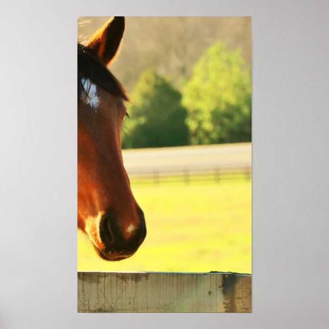 Sekretariatets Underbara mordotter Poster (Framsidan)