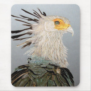 Sekreterare Bird Musmatta