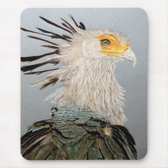 Sekreterare Bird Musmatta (Framsidan)