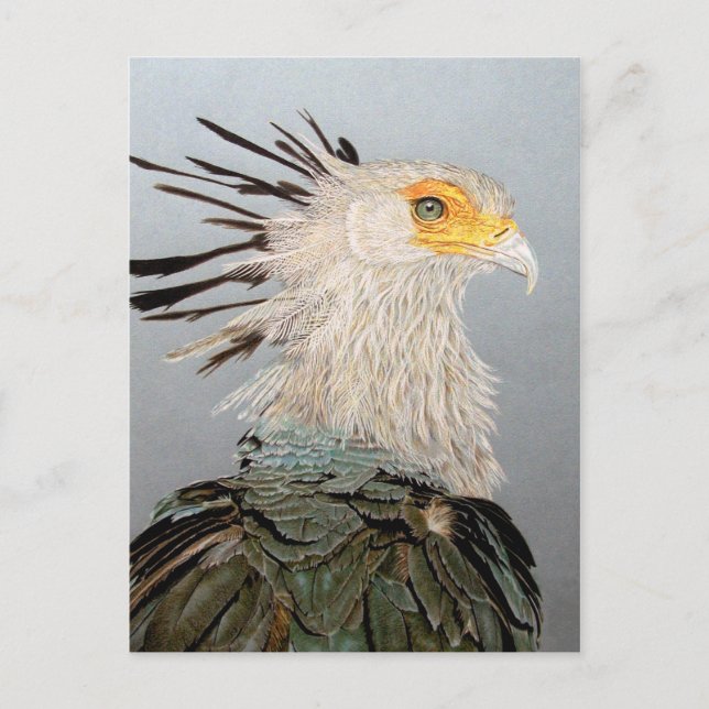 Sekreterare Bird Vykort (Framsida)