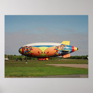 Sektion Belle Poster