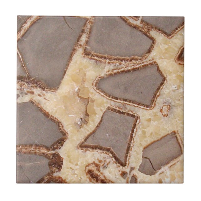 Sektion för setarian Nodul Kor Intressant Sten Kakelplatta (Framsidan)