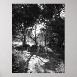 SekundärPoster Poster