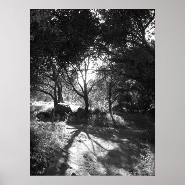 SekundärPoster Poster (Framsidan)