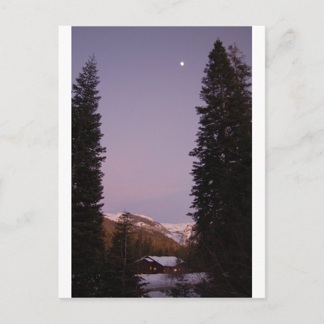 Sekvojapostkort Vykort (Framsida)