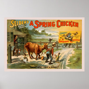 Selden's Funny Farce, A Vår Chicken Poster