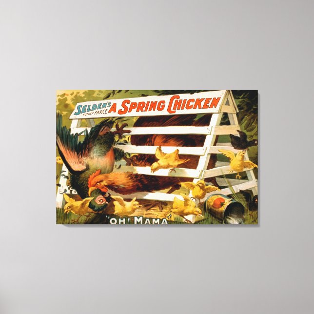 Selden's Funny Farce, Vår Chicken Play Canvastryck (Framsida)