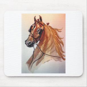 Sele för Saddlebred hästbra Musmatta