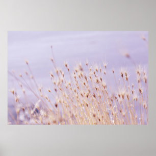 SELEKTIV FOKUSFOTOGRAFI AV GRÄS FÄLT POSTER