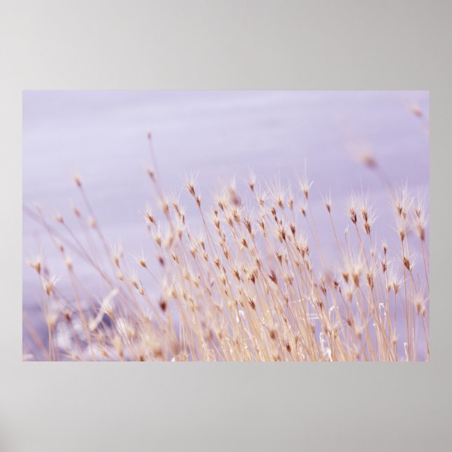 SELEKTIV FOKUSFOTOGRAFI AV GRÄS FÄLT POSTER (Framsidan)