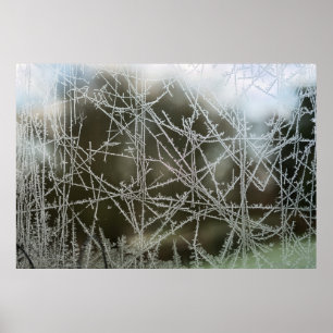 Selektiv inriktning på snöflingor poster