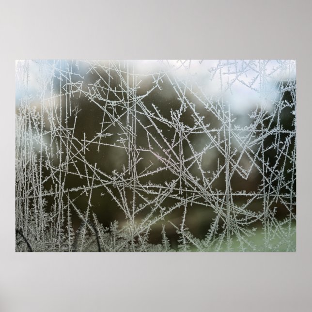 Selektiv inriktning på snöflingor poster (Framsidan)