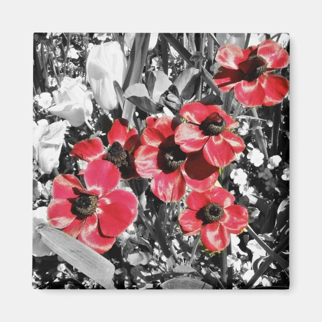 Selektiv skönhet - Anemone Blommars Magnet (Framsidan)