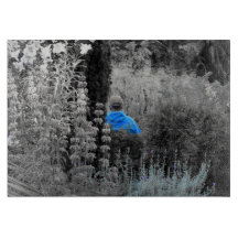 Selektivt Blue Garden Visitor-skärmar