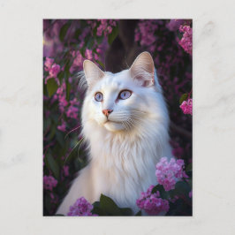 Selene the Turkisk Angora Cat Postcard Vykort