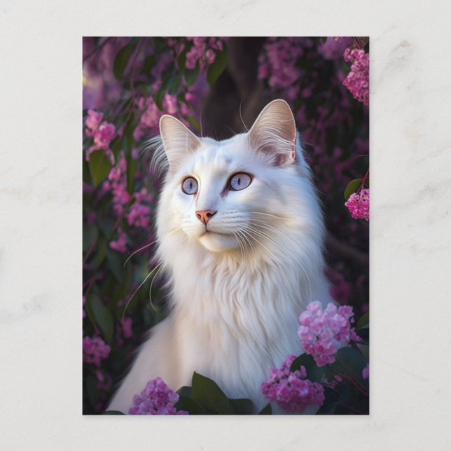Selene the Turkisk Angora Cat Postcard Vykort (Framsida)