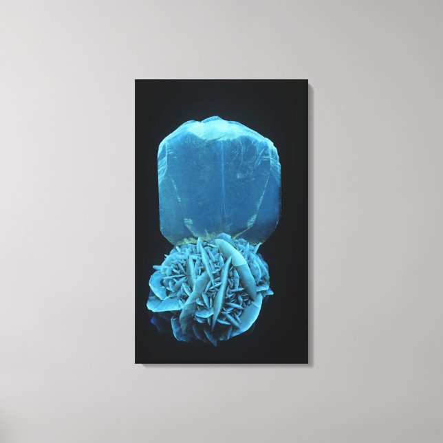 Selenit form av gips, ett fluorescerande mineralfo canvastryck (Framsida)