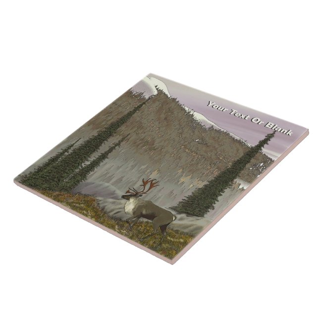 Selkirk Västindiou Kakelplatta (Sidan)