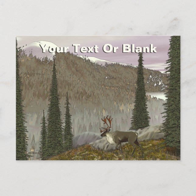 Selkirk Västindiou Vykort (Framsida)