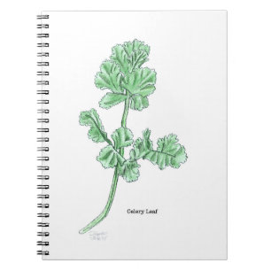 Selleribladsillustration Anteckningsbok