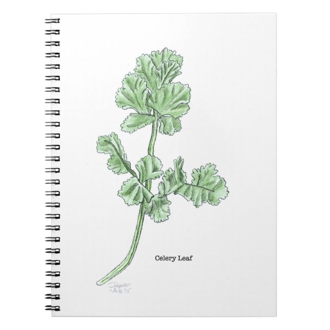 Selleribladsillustration Anteckningsbok (Framsidan)