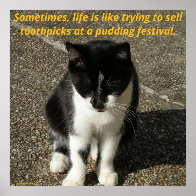 Selling toothpicks at a pudding festival... poster (Framsidan)