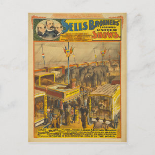 Sells Brothers Zoological Marvels Cirkusaffisch Vykort