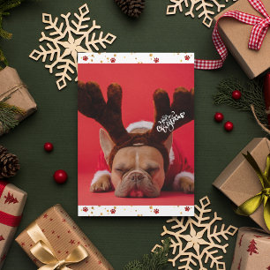 Semester Fransk Bulldogg Söt Hund Jul Julkort