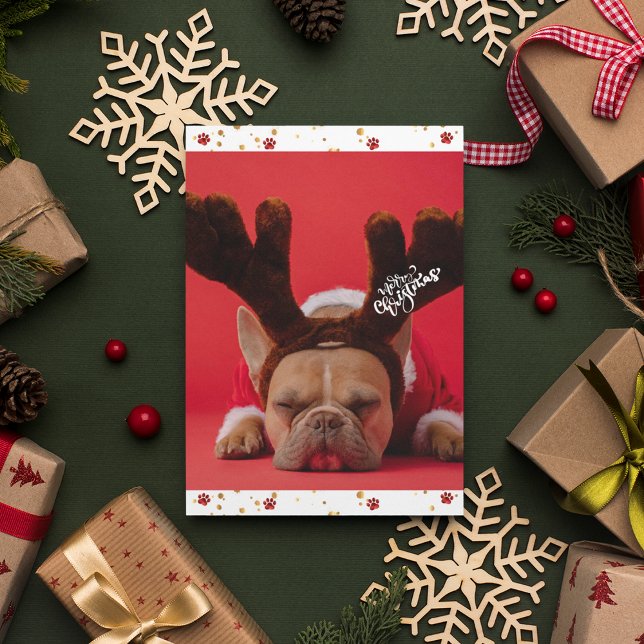 Semester Fransk Bulldogg Söt Hund Jul Julkort (Front)