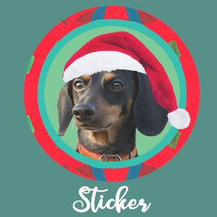 Semester Grön Röd Din Hund eller vår Dachshund Fot Runt Klistermärke