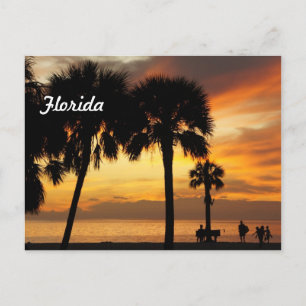 Semester i Florida Vykort
