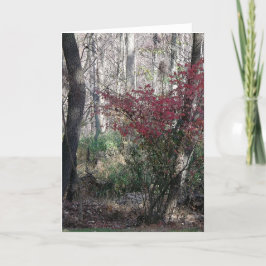 Semesterkort hälsningskort helgkort