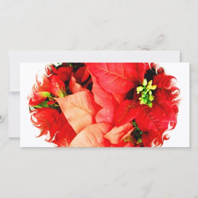 Semestersammankomst Julkort (Framsida)