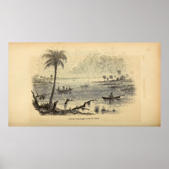 Seminoles på St. Johns River Poster (Framsidan)
