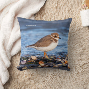 Semipalmerad Plover Shorebird vid Beach Kudde