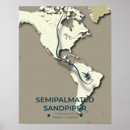 Semipalmerad Sandpiper Migration Karta - minimalis Poster