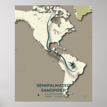 Semipalmerad Sandpiper Migration Karta - minimalis