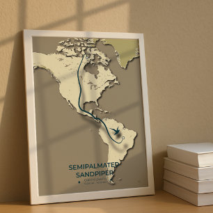 Semipalmerad Sandpiper Migration Karta - minimalis Poster