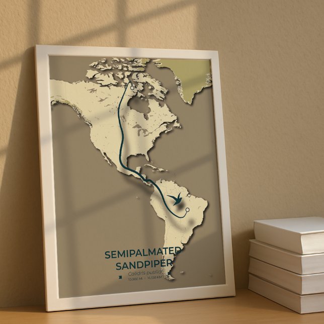 Semipalmerad Sandpiper Migration Karta - minimalis Poster (Skapare uppladdad)