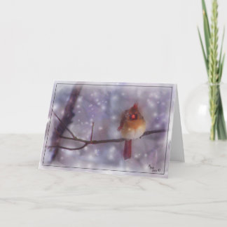 Sen kall dagdamkardinal helgkort